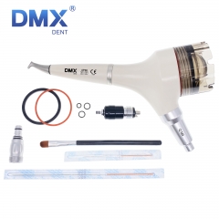 DMXDENT Dental Air Flow Teeth Polishing Polisher Prophy Hygiene Handpiece 2/4H