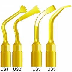 DMXDENT Dental Piezo Scaler Ultrasonic Bone Surgery U Tips Fit NSK Woodpecker US-II LED